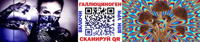 Псилоцибиновые грибы прущие грибы  Билибино 