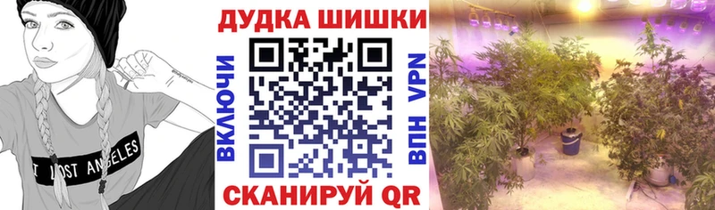 OMG онион  купить закладку  Билибино  Каннабис план 